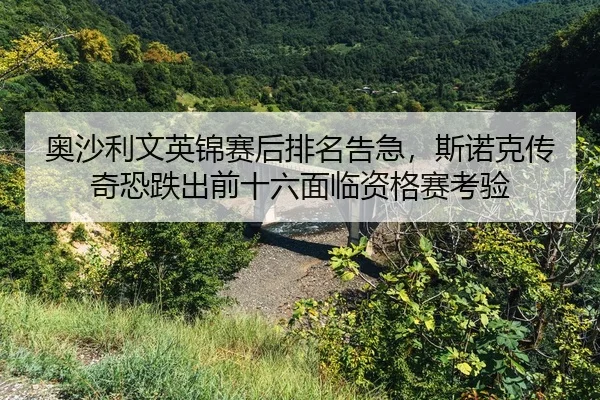 ao-sha-li-wen-ying-jin-sai-hou-pai-ming-gao-ji-si-nuo-ke-chuan-qi-kong-die-chu-qian-shi-liu-mian-lin-zi-ge-sai-kao-yan-2-246.jpg