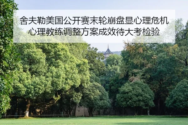 she-fu-lei-mei-guo-gong-kai-sai-mo-lun-beng-pan-xian-xin-li-wei-ji-xin-li-jiao-lian-tiao-zheng-fang-an-cheng-xiao-dai-2-638.jpg